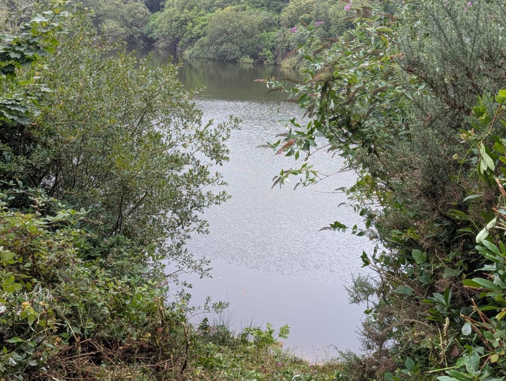 Lot: 106 - FREEHOLD LAND WITH LAKE AND DISUSED BUILDINGS - Lake